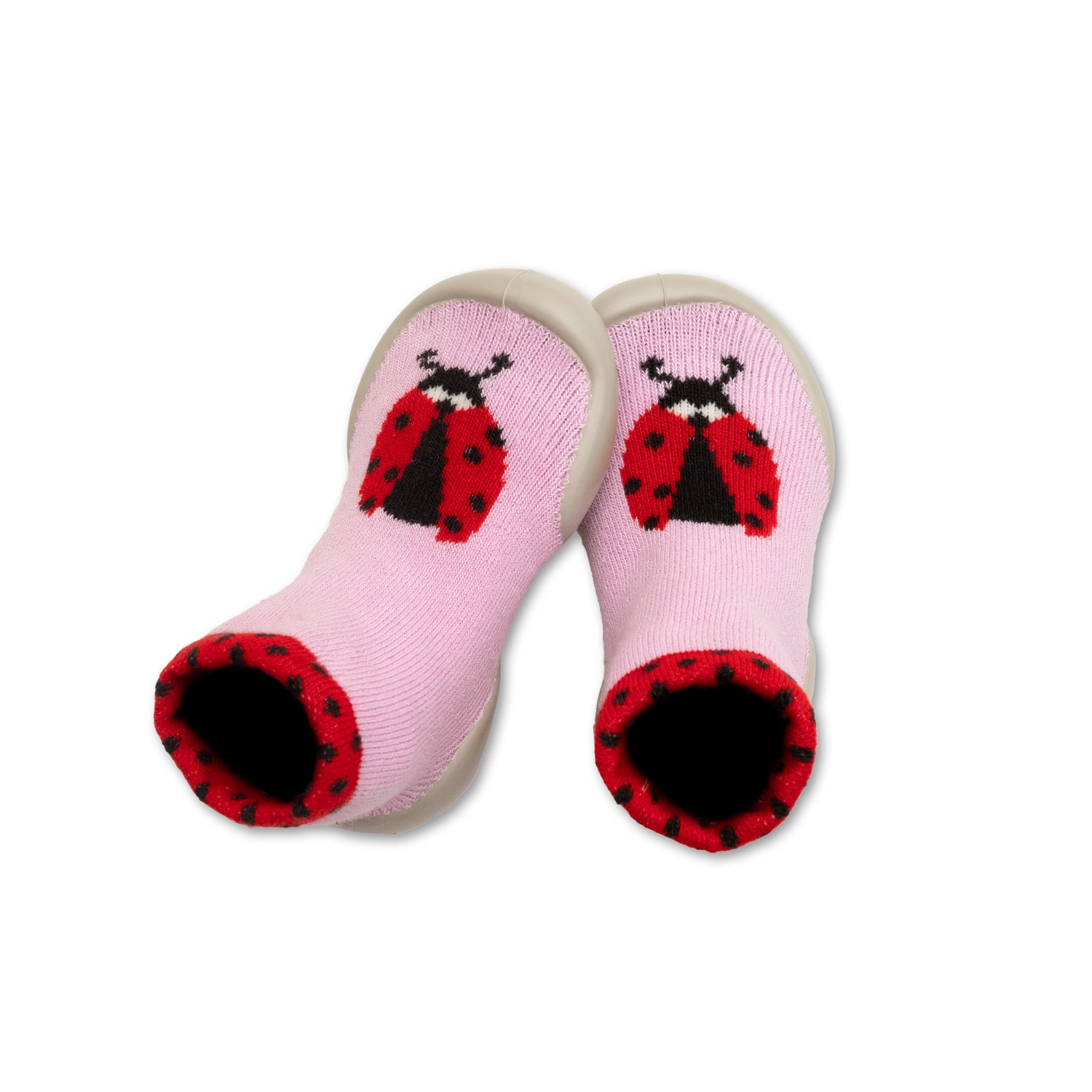 Coccinelle